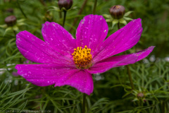 2009_06_14-16_20_49_3