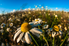 2009_07_12-20_14_16_4