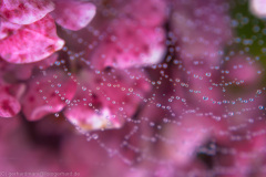 2011_09_21-15_59_21_5