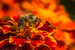 2014_09_14-13_39_04_8