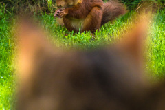 2015_09_13-09_32_40_13