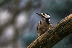 2016_02_02-12_28_22_16