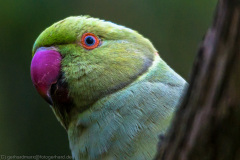 2016_06_18-18_07_33_17