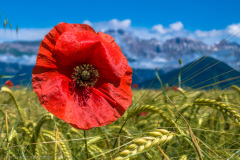 2019_06_22-15_03_26_18