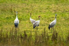 2020_09_24-10_08_40_22