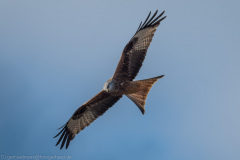 2021_03_07-13_21_30_24