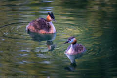 2021_09_02-18_36_49_26