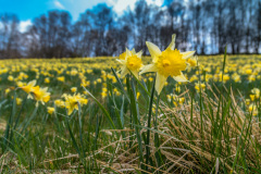 2022_04_27-13_43_27_28