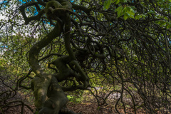 2022_05_02-13_58_27_29