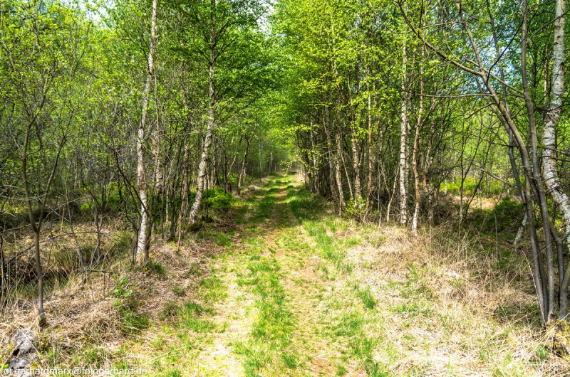 2022_05_07-12_05_47_1