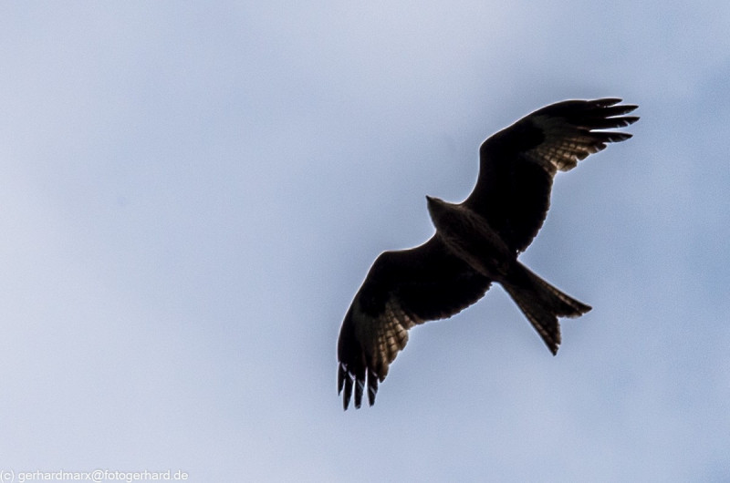 2022_05_07-12_38_36_3