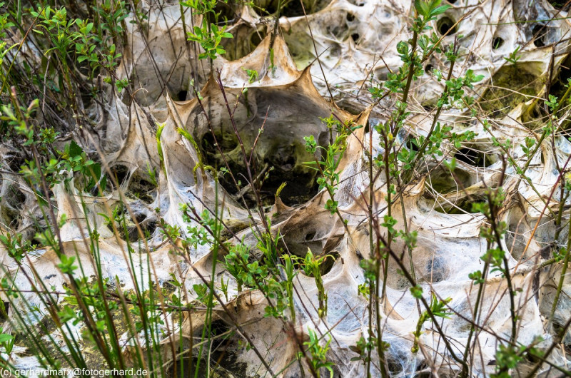 2022_05_07-13_03_49_4