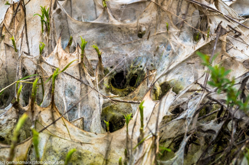 2022_05_07-13_04_32_5