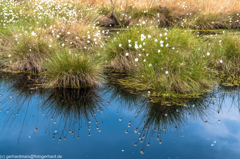 2022_05_07-13_28_26_7