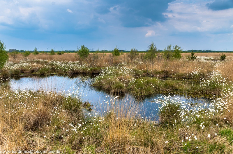 2022_05_07-13_28_46_8