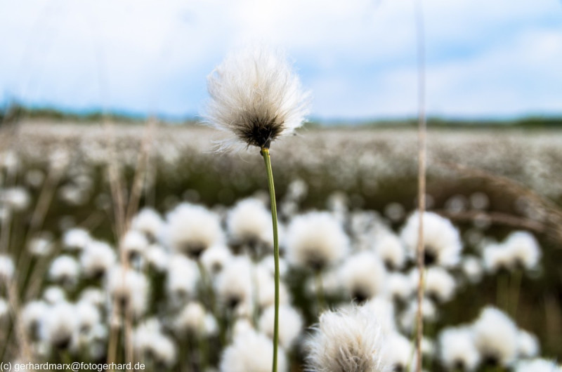 2022_05_07-13_33_58_9