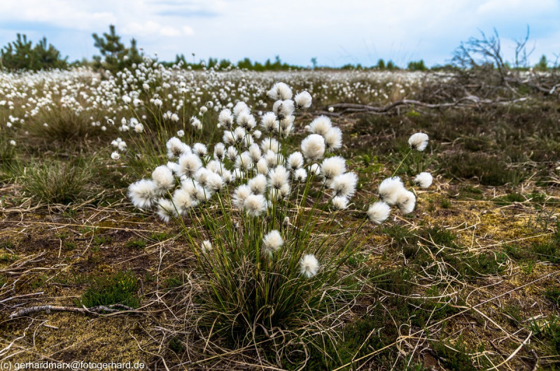 2022_05_07-13_39_00_13