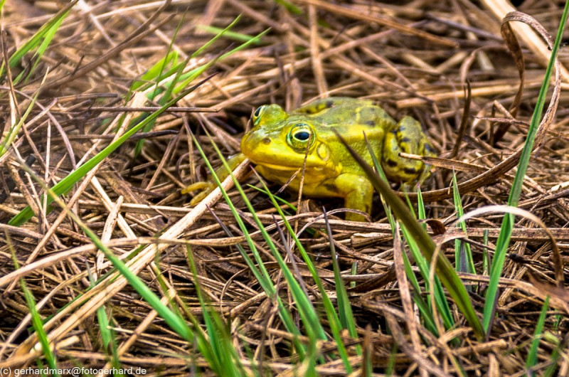 2022_05_07-13_47_22_14