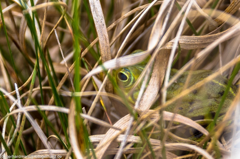 2022_05_07-13_48_16_15