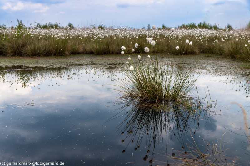 2022_05_07-13_53_14_16