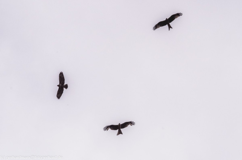 2022_05_07-13_58_26_20