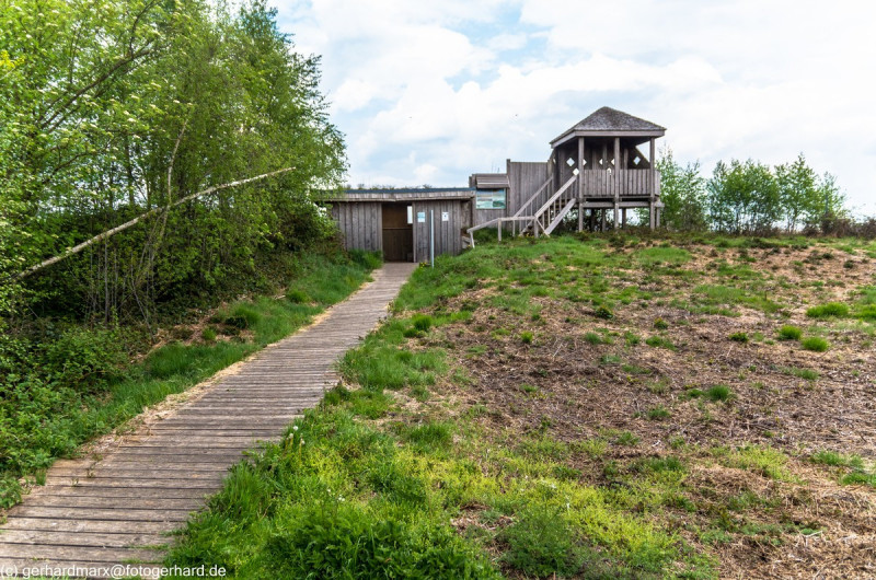 2022_05_07-14_04_39_21