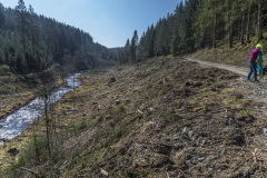 2022_03_23-11_55_53_1