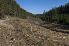 2022_03_23-12_01_24_2