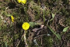 2022_03_23-12_01_24_3