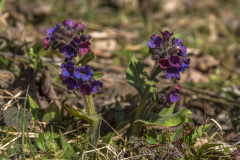 2022_03_23-12_09_39_3