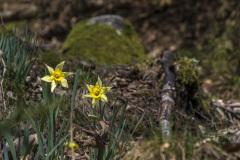 2022_03_23-12_15_11_5