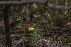 2022_03_23-12_16_01_6