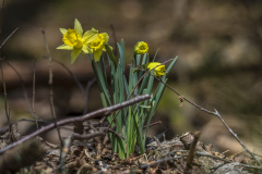 2022_03_23-12_17_19_7