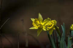 2022_03_23-12_17_25_8