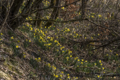 2022_03_23-12_59_42_12