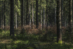 2022_03_23-13_31_33_16