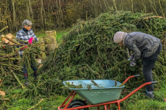 2021_11_06-14_20_42_17