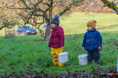 2021_11_06-14_23_29_22