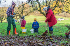 2021_11_06-14_23_31_23