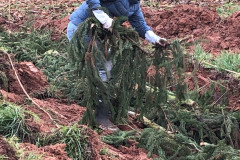 2021_11_06-15_11_41_31