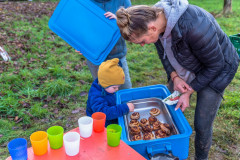 2021_11_06-16_45_43_40