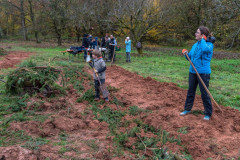 2021_11_07-12_53_16_56