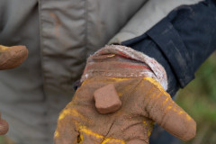 2021_11_07-13_12_24_59