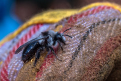 2021_11_07-15_45_01_83