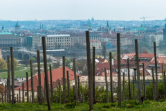 2014-03-31_11-58-19-24-PD_12_File_002