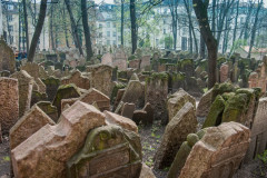 2014-04-01_11-07-07-56-PD_28_File_002