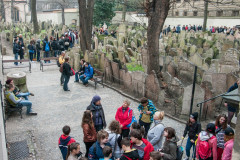 2014-04-01_11-11-57-57-PD_29_File_001