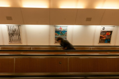 2014-04-01_19-54-23-96-PD_48_File_001