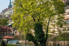 2014-04-02_13-07-00-103-PD_51_File_002