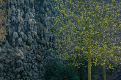 2014-04-02_14-08-16-113-PD_56_File_002